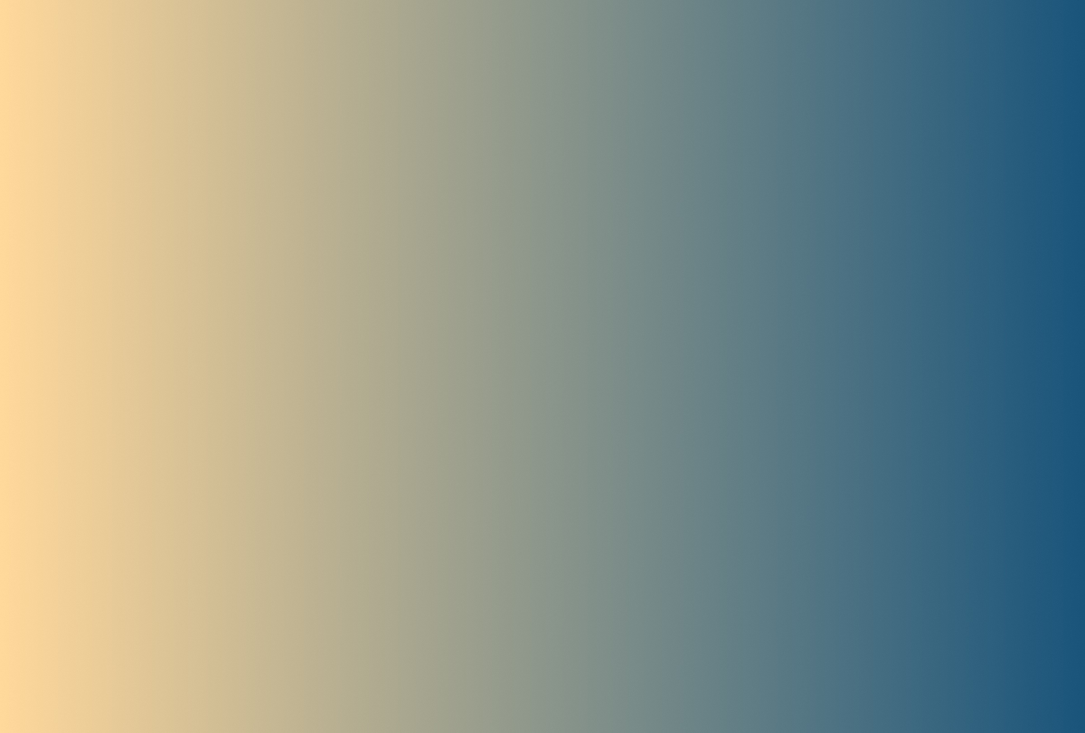 Smart Profill - Développement WebDyfool Studio